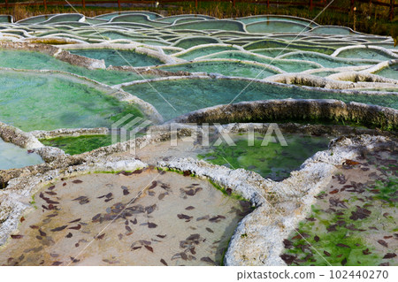 Illustration of colorful thermal spa Egerszalok 102440270