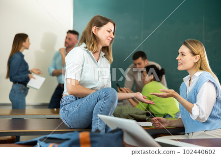 Adult students communicating during recess between lectures in auditorium 102440602