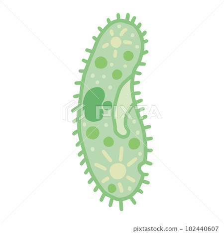 湯川草履蟲 102440607