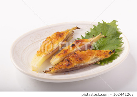 Miso grilled Japanese ginger 102441262