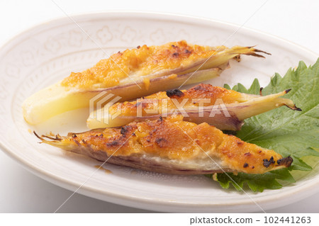 Miso grilled Japanese ginger 102441263