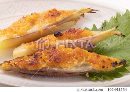 Miso grilled Japanese ginger 102441264