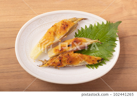 Miso grilled Japanese ginger 102441265