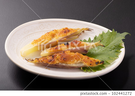 Miso grilled Japanese ginger 102441272