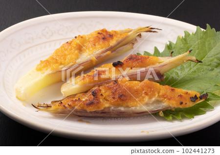 Miso grilled Japanese ginger 102441273