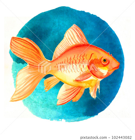 Golden fish in blue water. Hand drawn ink and watercolor on paper 102443082