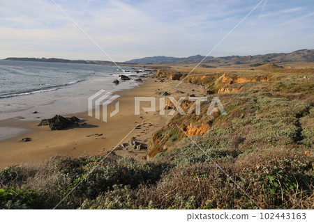 San Simeon Beach and ocean 102443163