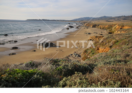 San Simeon Beach and ocean 102443164