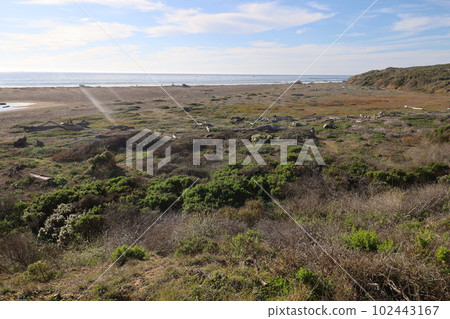 San Simeon Beach and ocean 102443167