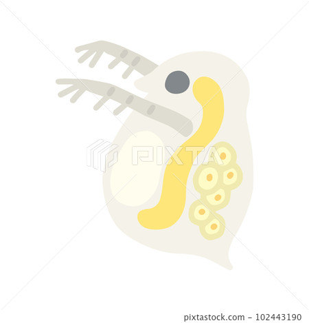 Yurukawa Daphnia 102443190