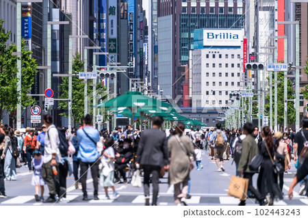 《Tokyo》Bustling Ginza Main Street/Pedestrian Promenade 102443243