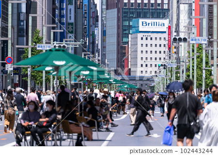 《Tokyo》Bustling Ginza Main Street/Pedestrian Promenade 《Tokyo》Bustling Ginza Main Street/Pedestrian Promenade 102443244