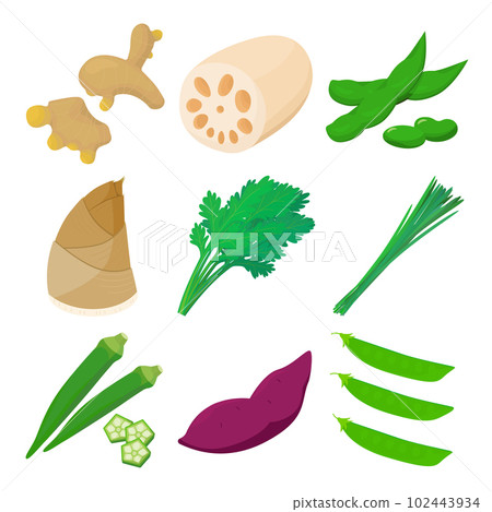 Vector illustration of vegetables containing manganese. 102443934