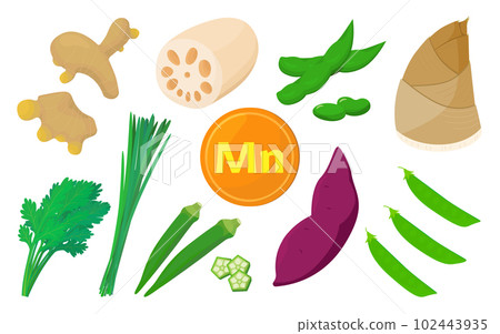 矢量圖的含錳蔬菜。 102443935