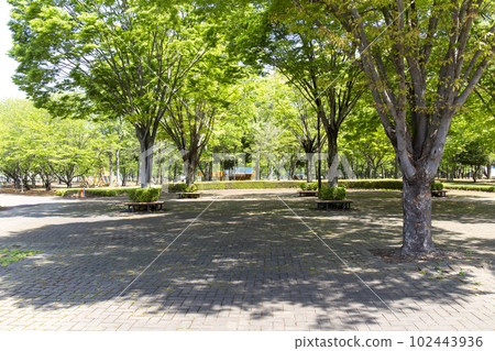 Kensei General Park in Chikusei City, Ibaraki Prefecture 102443936