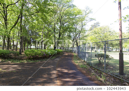 茨城縣築西市劍聖綜合公園 102443943