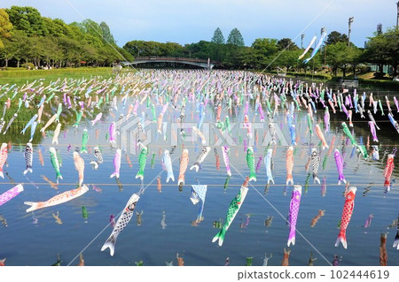 Carp streamer 102444619