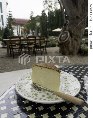 Piece of cheesecake serving in the garden Piece of cheesecake serving in the garden 102445629