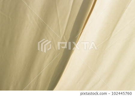 Bright living room  modern interior 102445760