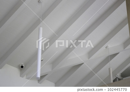 Bright living room  modern interior 102445770