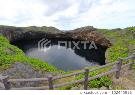 Tori Pond on Shimoji Island (Miyako Island) and colonies of Terixatubera Tori Pond on Shimoji Island (Miyako Island) and colonies of Terixatubera 102445956