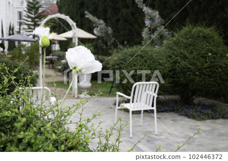 Street cafe with vintage furniture Street cafe with vintage furniture 102446372