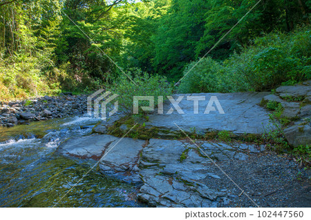 Arashiyama Valley, Tsukigawa River, fresh green scenery, Musashi's Little Kyoto Arashiyama Valley, Tsukigawa River, fresh green scenery, Musashi's Little Kyoto 102447560