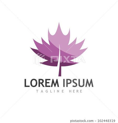 Maple leaf vector illustration Maple leaf vector illustration 102448319