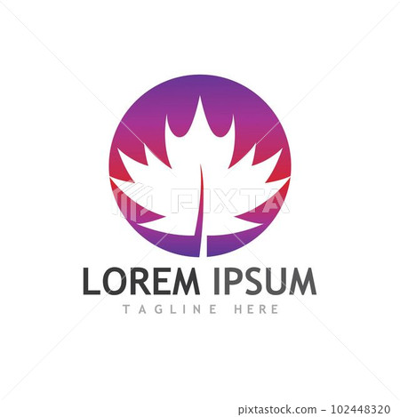 Maple leaf vector illustration 102448320