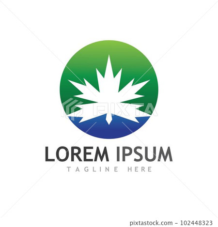 Maple leaf vector illustration Maple leaf vector illustration 102448323