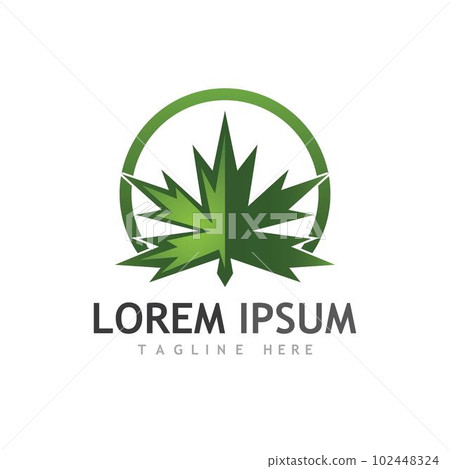Maple leaf vector illustration Maple leaf vector illustration 102448324