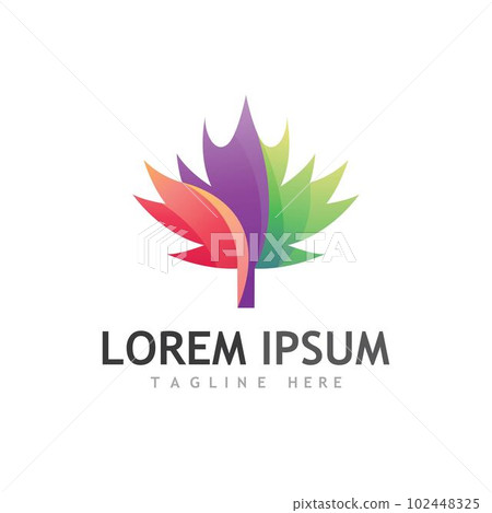 Maple leaf vector illustration 102448325