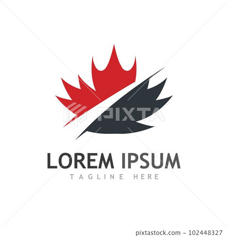 Maple leaf vector illustration 102448327