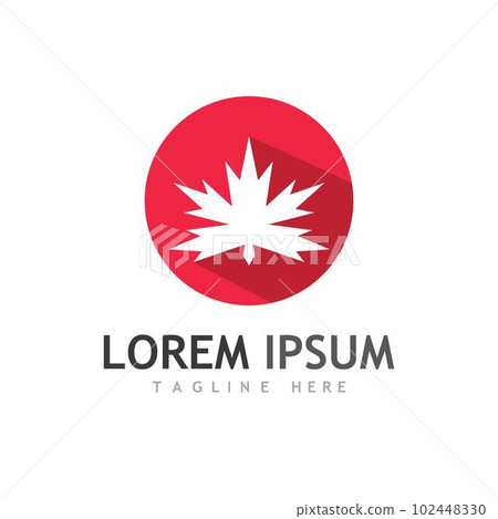 Maple leaf vector illustration 102448330