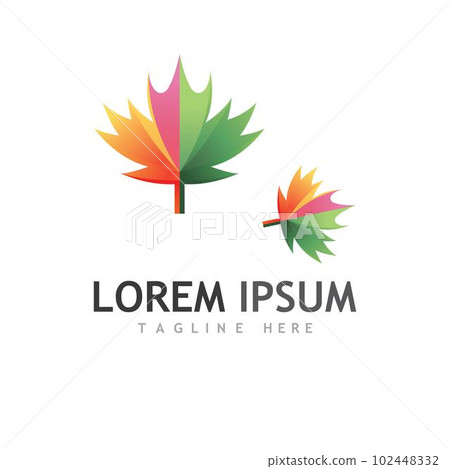Maple leaf vector illustration 102448332