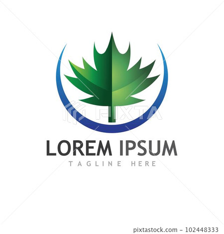 Maple leaf vector illustration Maple leaf vector illustration 102448333