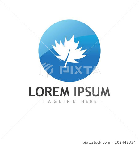 Maple leaf vector illustration 102448334