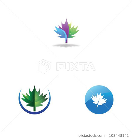 Maple leaf vector illustration 102448341