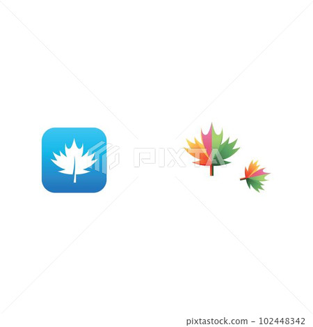 Maple leaf vector illustration 102448342