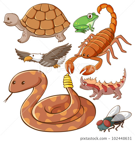 Set of simple animals cartoon character 102448631