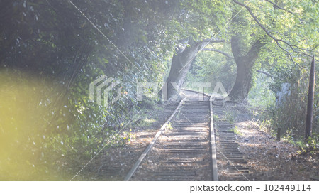 Abandoned railroad walk in sunlight filtering through trees (former Japanese National Railways Kurayoshi Line) 102449114