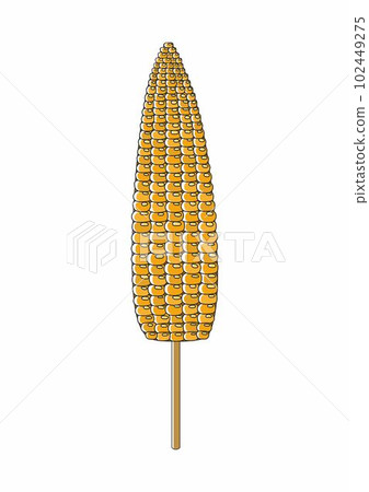 Baked or boiled corn on wooden stick food vector isolated for vegetarian or vegan flat style Baked or boiled corn on wooden stick food vector isolated for vegetarian or vegan flat style 102449275