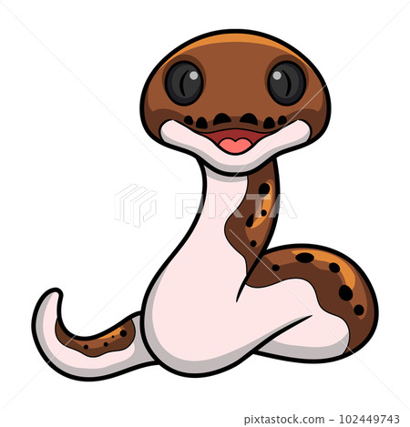 Cute pied reticulated python cartoon Cute pied reticulated python cartoon 102449743