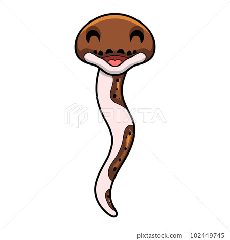Cute pied reticulated python cartoon Cute pied reticulated python cartoon 102449745