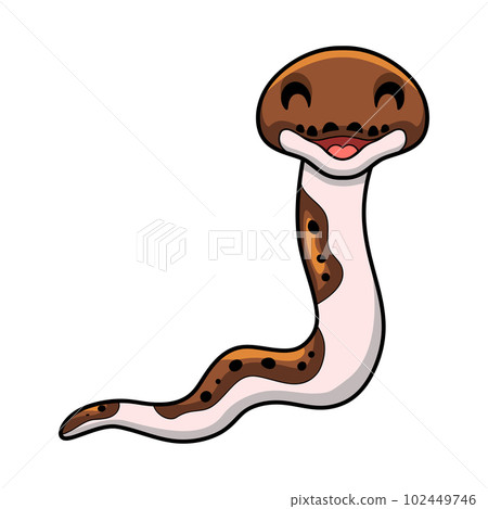 Cute pied reticulated python cartoon Cute pied reticulated python cartoon 102449746