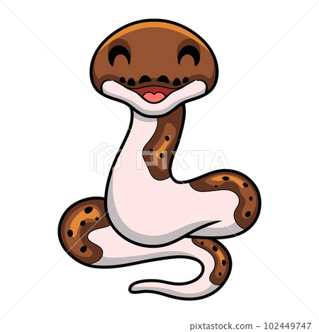 Cute pied reticulated python cartoon 102449747