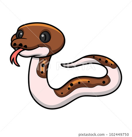 Cute pied reticulated python cartoon 102449750