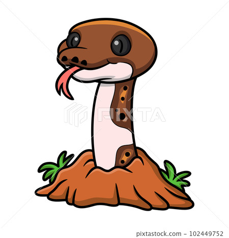 Cute pied reticulated python cartoon out from hole 102449752