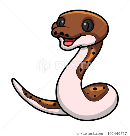Cute pied reticulated python cartoon 102449757