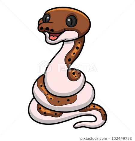 Cute pied reticulated python cartoon Cute pied reticulated python cartoon 102449758